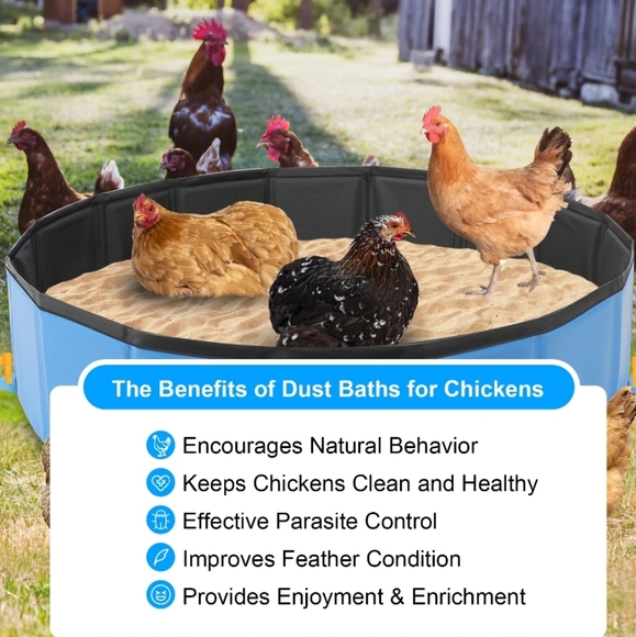 New Foldable Chicken Dust Bath Tub - Picture 2 of 9